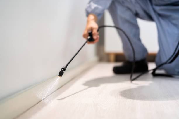 Licensed Mosquito Control service in Marlboro Meadows, MD - Show Me Pest Control