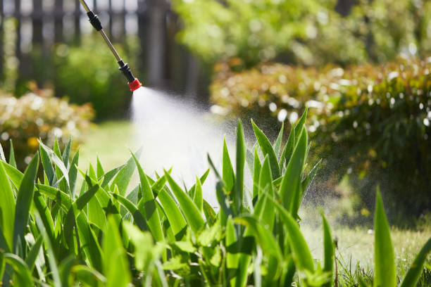 24/7 Emergency Mosquito Control experts in Marlboro Meadows, MD