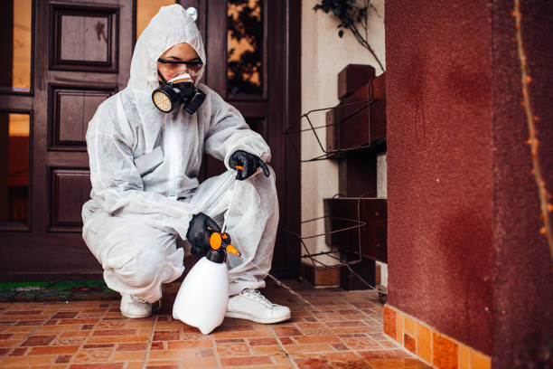 Reliable Mosquito Control contractor in Marlboro Meadows, MD by Show Me Pest Control