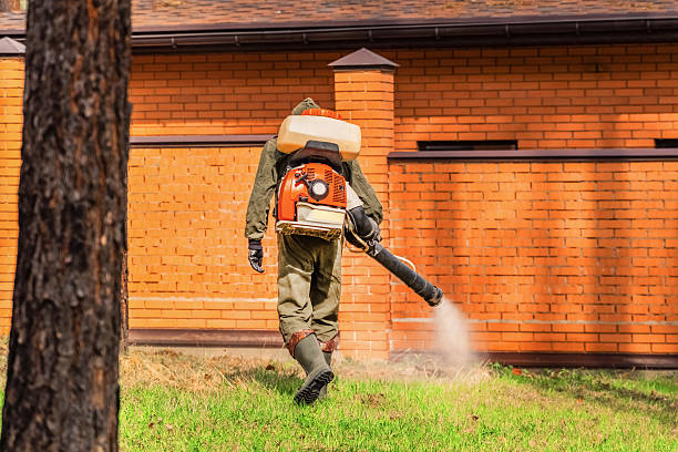 Top rated local Mosquito Control specialists in Marlboro Meadows, MD